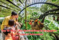Top 10 Must-See Destinations in Singapore: A Tropical Adventure